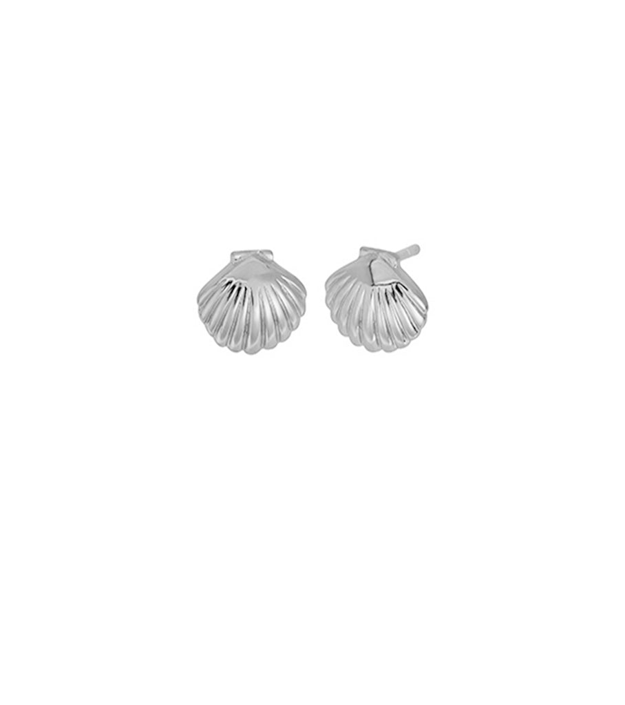 Scallop Shell Studs