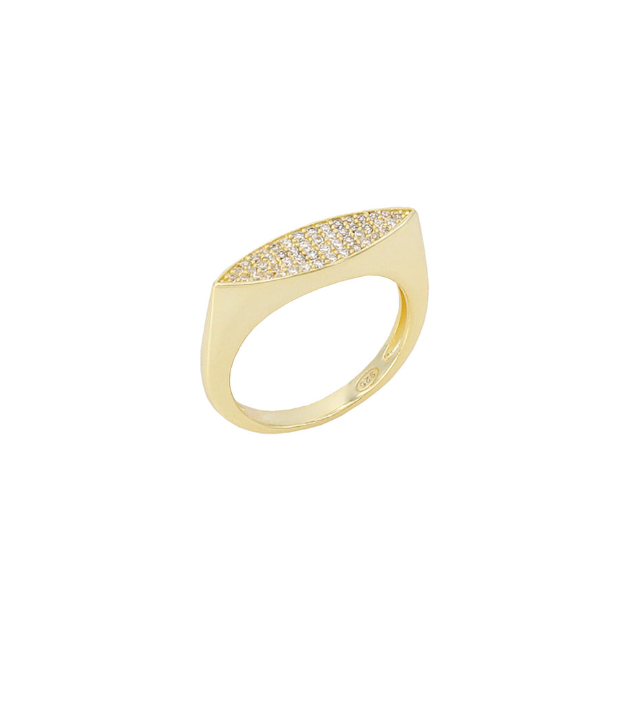 Chunky Ring R3398