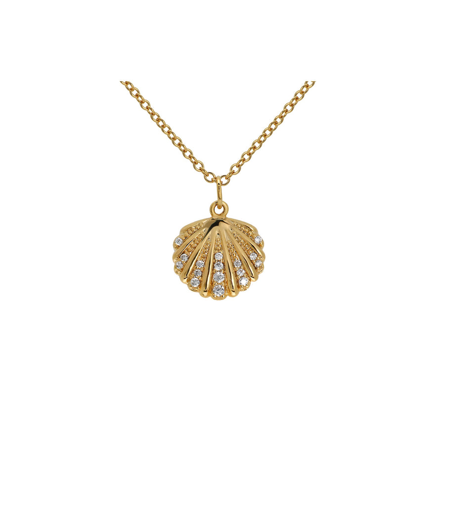 Scallop Shell Necklace