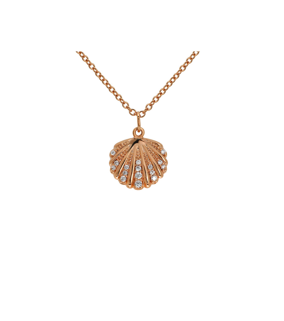 Scallop Shell Necklace